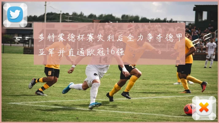 多特蒙德杯赛失利后全力争夺德甲亚军并直通欧冠16强