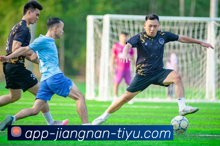 江南体育平台生态图