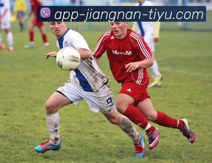 江南体育全站App